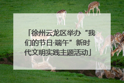 徐州云龙区举办“我们的节日·端午”新时代文明实践主题活动