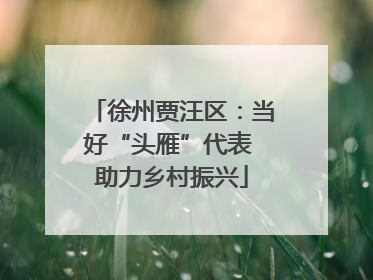 徐州贾汪区：当好“头雁”代表 助力乡村振兴