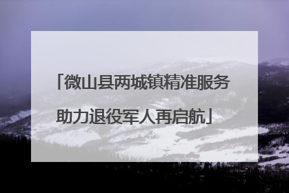 微山县两城镇精准服务助力退役军人再启航