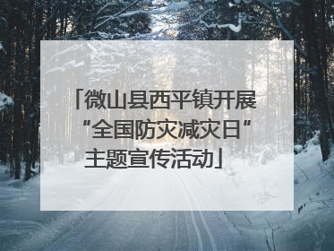微山县西平镇开展“全国防灾减灾日”主题宣传活动