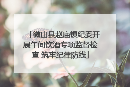 微山县赵庙镇纪委开展午间饮酒专项监督检查 筑牢纪律防线