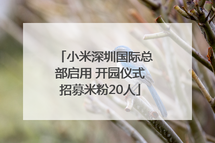 小米深圳国际总部启用 开园仪式招募米粉20人