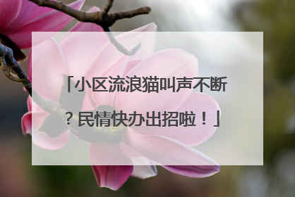 小区流浪猫叫声不断？民情快办出招啦！