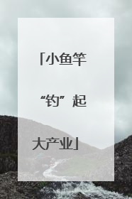 小鱼竿“钓”起大产业