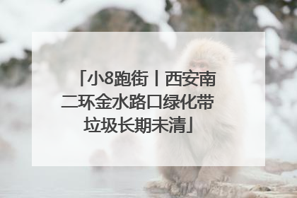 小8跑街丨西安南二环金水路口绿化带垃圾长期未清