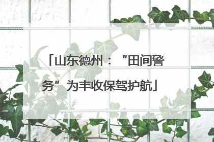 山东德州：“田间警务”为丰收保驾护航