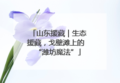 山东援藏｜生态援藏，戈壁滩上的“潍坊魔法”