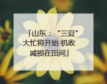 山东：“三夏”大忙将开始 机收减损在田间