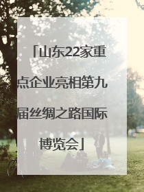 山东22家重点企业亮相第九届丝绸之路国际博览会
