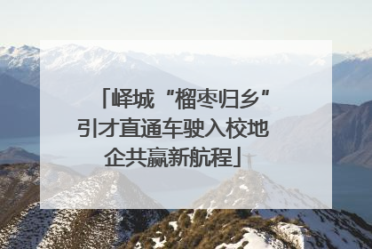 峄城“榴枣归乡”引才直通车驶入校地企共赢新航程