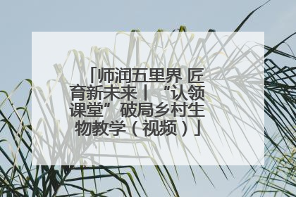 师润五里界 匠育新未来丨“认领课堂”破局乡村生物教学（视频）