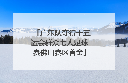 广东队夺得十五运会群众七人足球赛佛山赛区首金