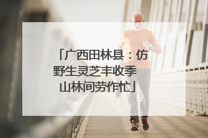 广西田林县：仿野生灵芝丰收季 山林间劳作忙