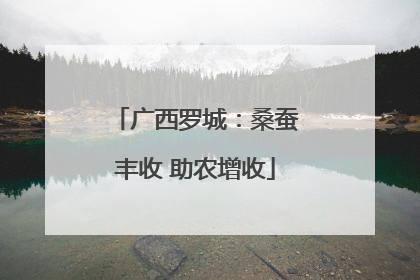 广西罗城：桑蚕丰收 助农增收