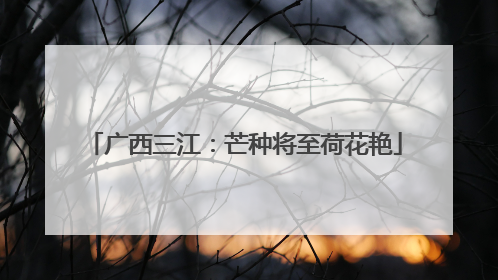 广西三江：芒种将至荷花艳