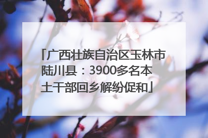 广西壮族自治区玉林市陆川县：3900多名本土干部回乡解纷促和