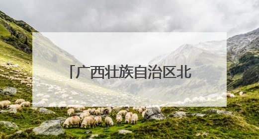 广西壮族自治区北海市合浦县：部门“常驻+轮驻”打造“解纷联合舰队”