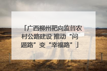 广西柳州靶向监督农村公路建设 推动“问题路”变“幸福路”