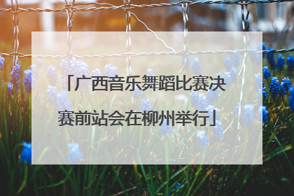 广西音乐舞蹈比赛决赛前站会在柳州举行