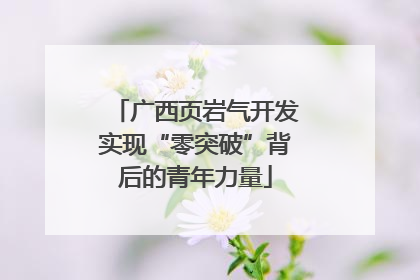广西页岩气开发实现“零突破”背后的青年力量