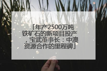 年产2500万吨铁矿石的新项目投产，宝武董事长：中澳资源合作的里程碑