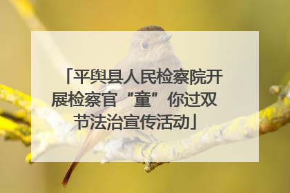 平舆县人民检察院开展检察官“童”你过双节法治宣传活动