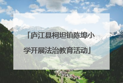 庐江县柯坦镇陈埠小学开展法治教育活动
