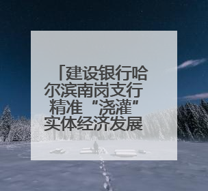 建设银行哈尔滨南岗支行精准“浇灌”实体经济发展沃土