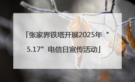 张家界铁塔开展2025年“5.17”电信日宣传活动