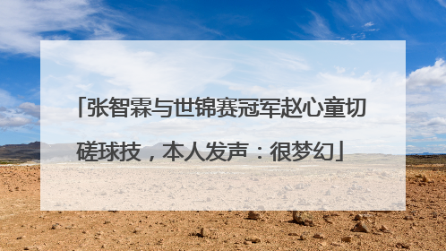张智霖与世锦赛冠军赵心童切磋球技，本人发声：很梦幻