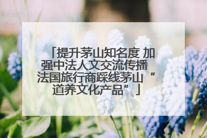 提升茅山知名度 加强中法人文交流传播 法国旅行商踩线茅山“道养文化产品”