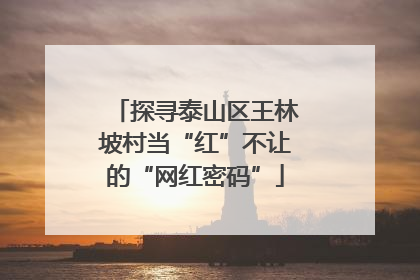 探寻泰山区王林坡村当“红”不让的“网红密码”