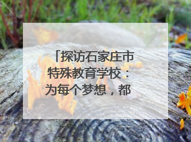 探访石家庄市特殊教育学校：为每个梦想，都插上“翅膀”