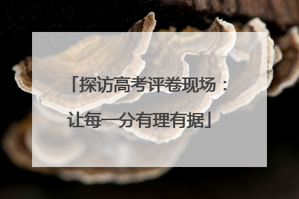探访高考评卷现场：让每一分有理有据