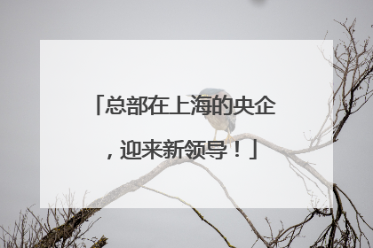 总部在上海的央企，迎来新领导！