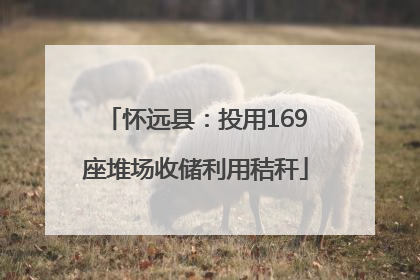 怀远县：投用169座堆场收储利用秸秆