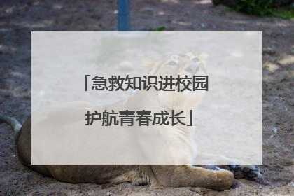 急救知识进校园 护航青春成长