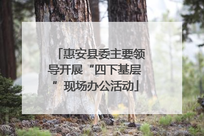 惠安县委主要领导开展“四下基层”现场办公活动