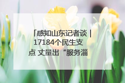 感知山东记者谈｜17184个民生支点 丈量出“服务淄博”的文明温度