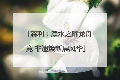慈利：澧水之畔龙舟竞 非遗焕新展风华