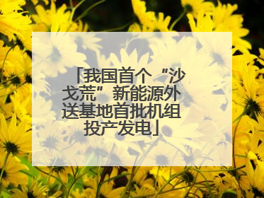 我国首个“沙戈荒”新能源外送基地首批机组投产发电