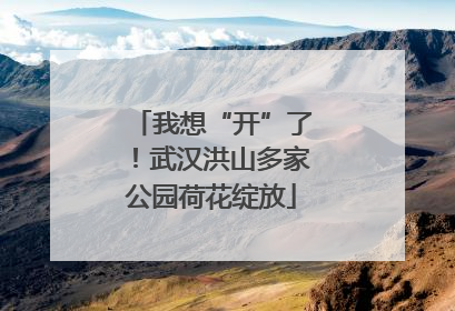 我想“开”了！武汉洪山多家公园荷花绽放