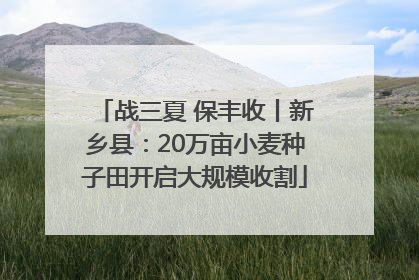战三夏 保丰收丨新乡县：20万亩小麦种子田开启大规模收割