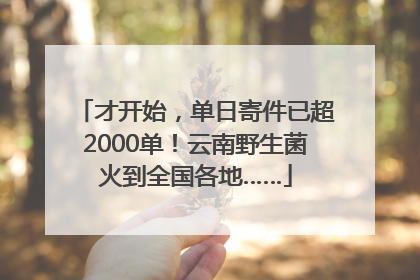 才开始，单日寄件已超2000单！云南野生菌火到全国各地……