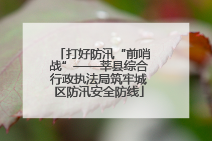 打好防汛“前哨战”——莘县综合行政执法局筑牢城区防汛安全防线