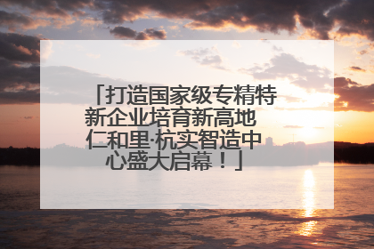 打造国家级专精特新企业培育新高地 仁和里·杭实智造中心盛大启幕！