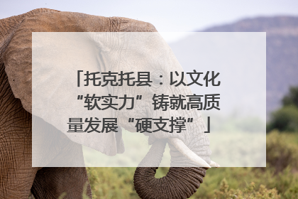 托克托县：以文化“软实力”铸就高质量发展“硬支撑”