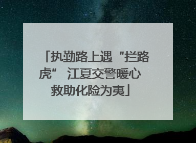 执勤路上遇“拦路虎” 江夏交警暖心救助化险为夷