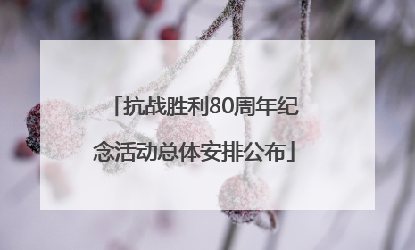 抗战胜利80周年纪念活动总体安排公布