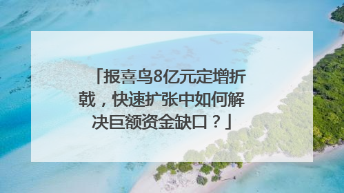 报喜鸟8亿元定增折戟，快速扩张中如何解决巨额资金缺口？